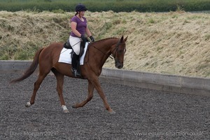 ISIS Dressage Challenge 2008